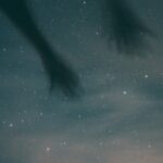 Комнатный планетарий идеальное решение для любителей астрономии image_455.jpg