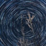 Homestar Earth Theater обзор и преимущества домашнего планетария image_494.jpg