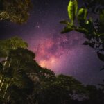 Проектор космического неба: инновационное оборудование для астрономии и астрофотографии image_713.jpg