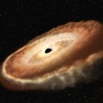 Проекторы звездного неба Окинори и другие модели для дома и планетариев unsplash_335.jpg